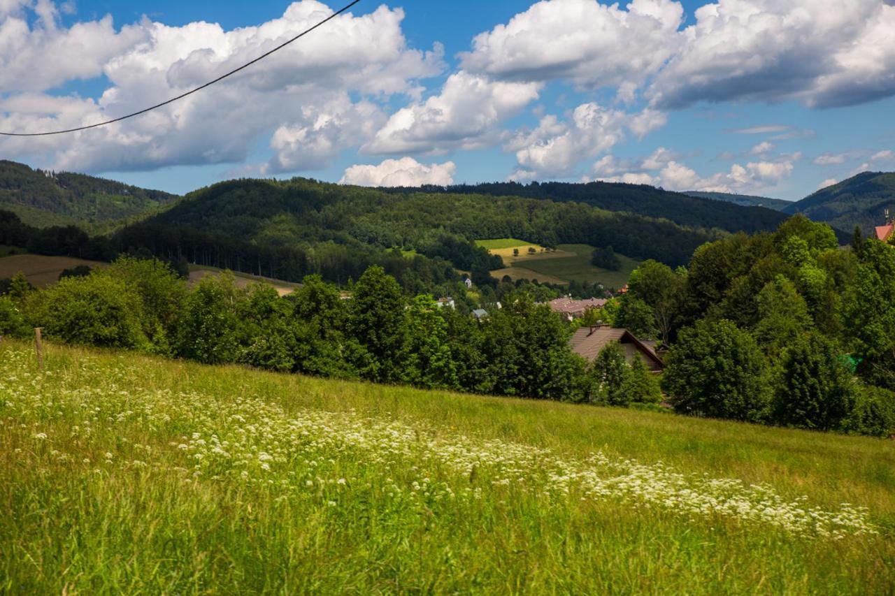 Cudne Manowce Bed & Breakfast Wisla Exterior photo
